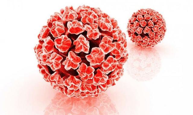 关于HPV疫苗的小常识