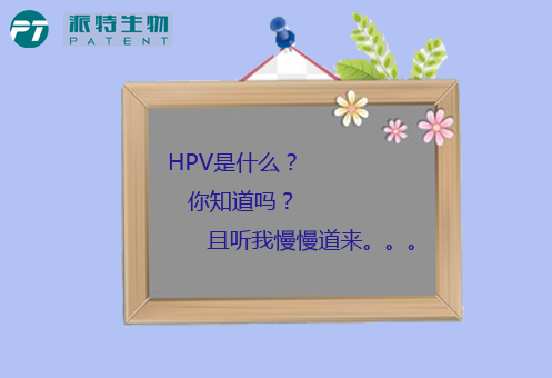 HPV是什么？（上集）